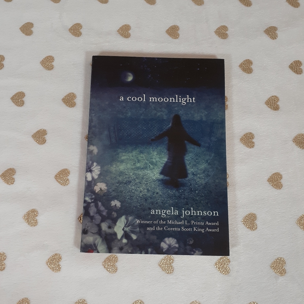 📚🎨 3/$15 *New* A Cool Moonlight Paperback Book